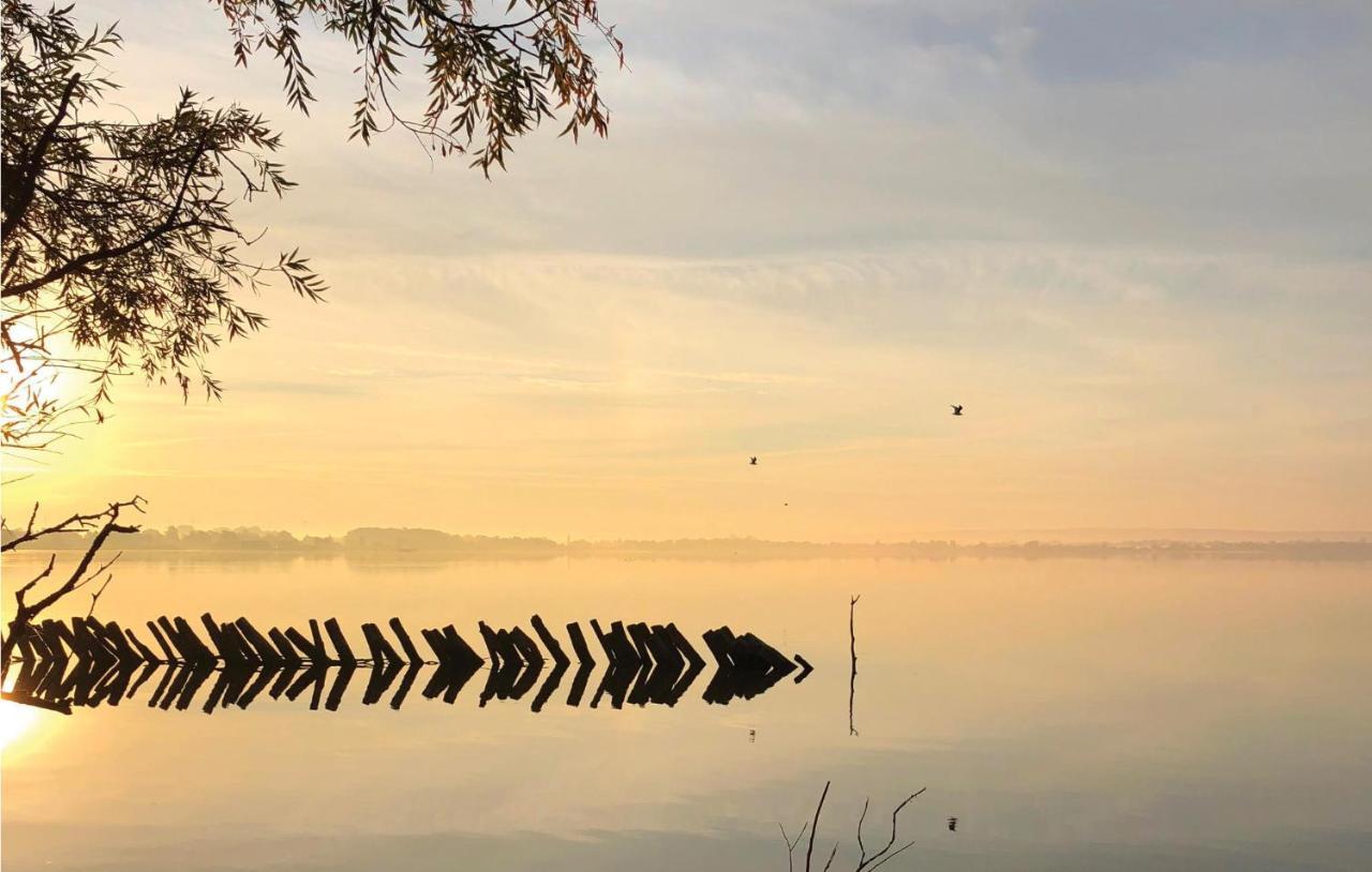 Stunning Home In Lembruch-Duemmer See With Sauna Buitenkant foto
